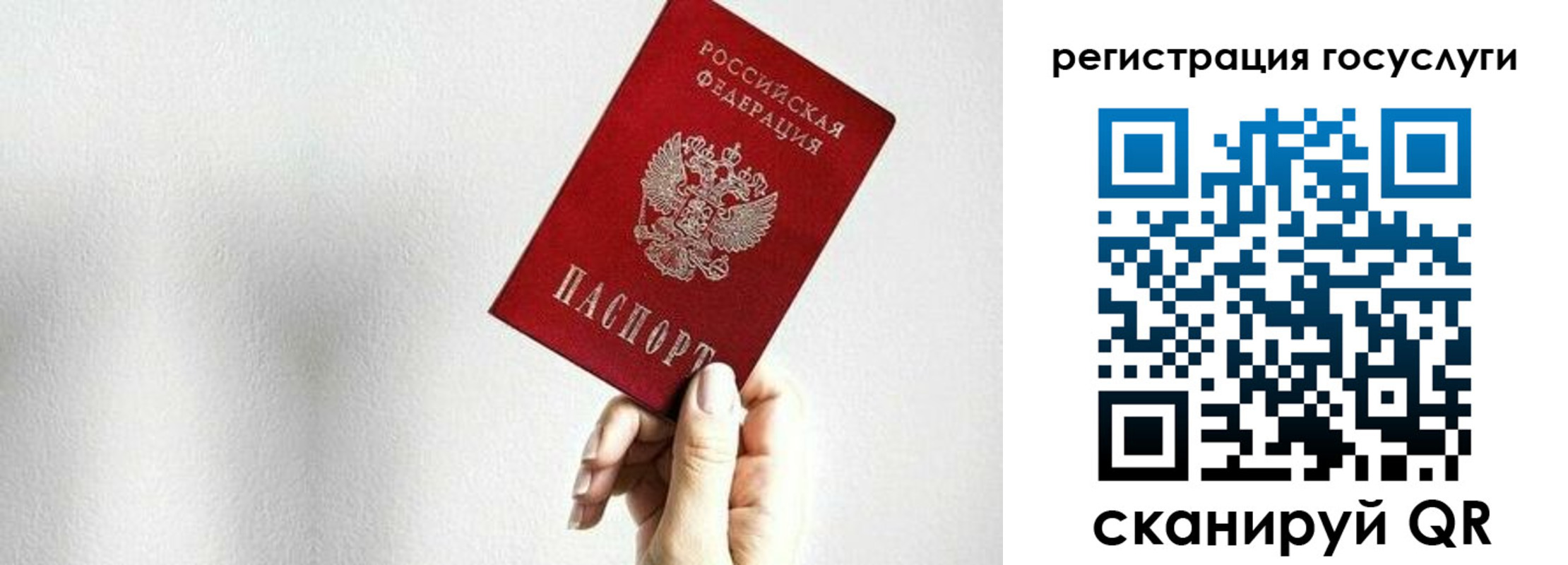 прописка гарантия в Дрезне